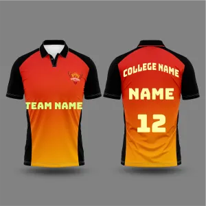 Next Print Ipl Hyderabad Printed Jersey With Name And Number Printed.