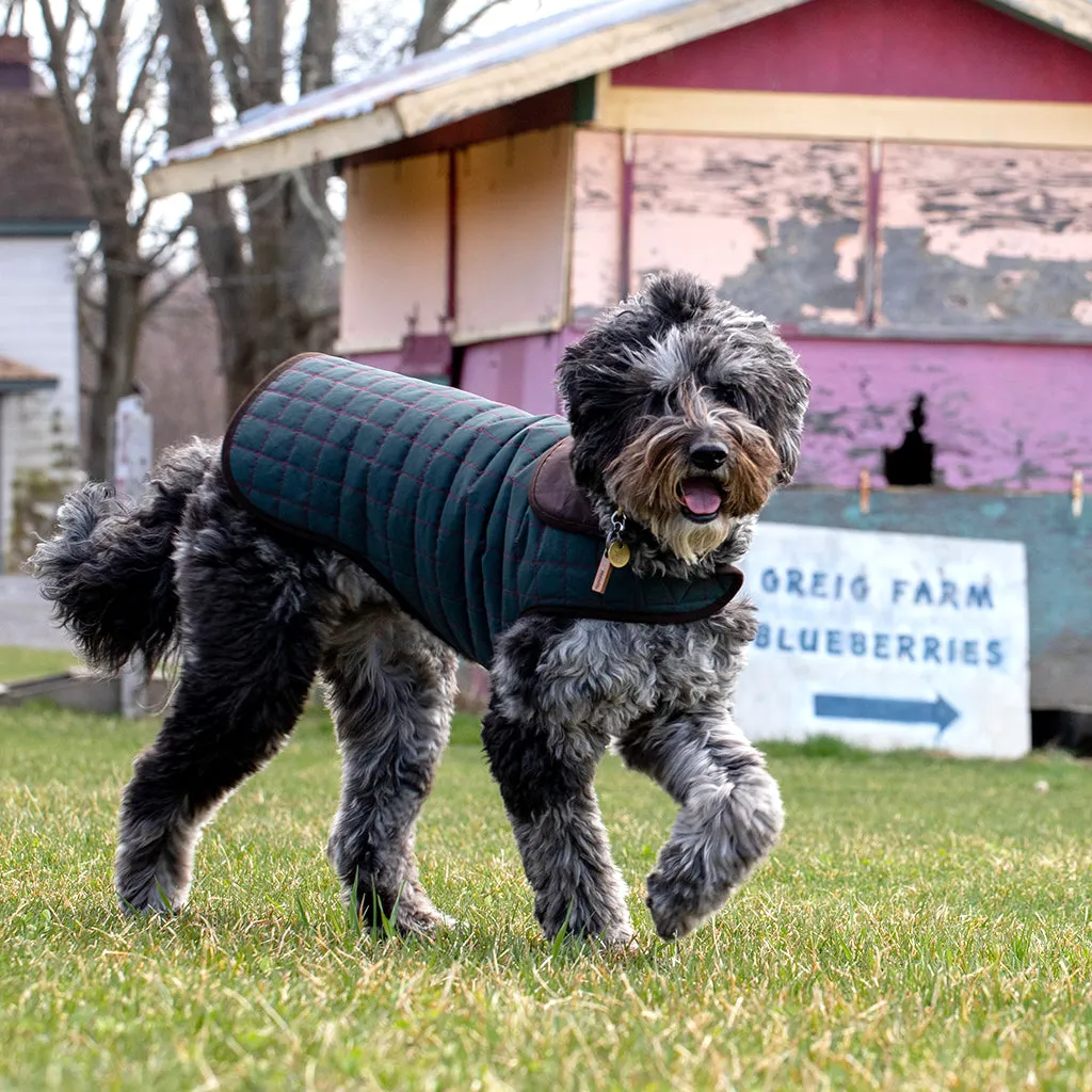 Paco & Lucia - Dark Green Waterproof Dog Coat