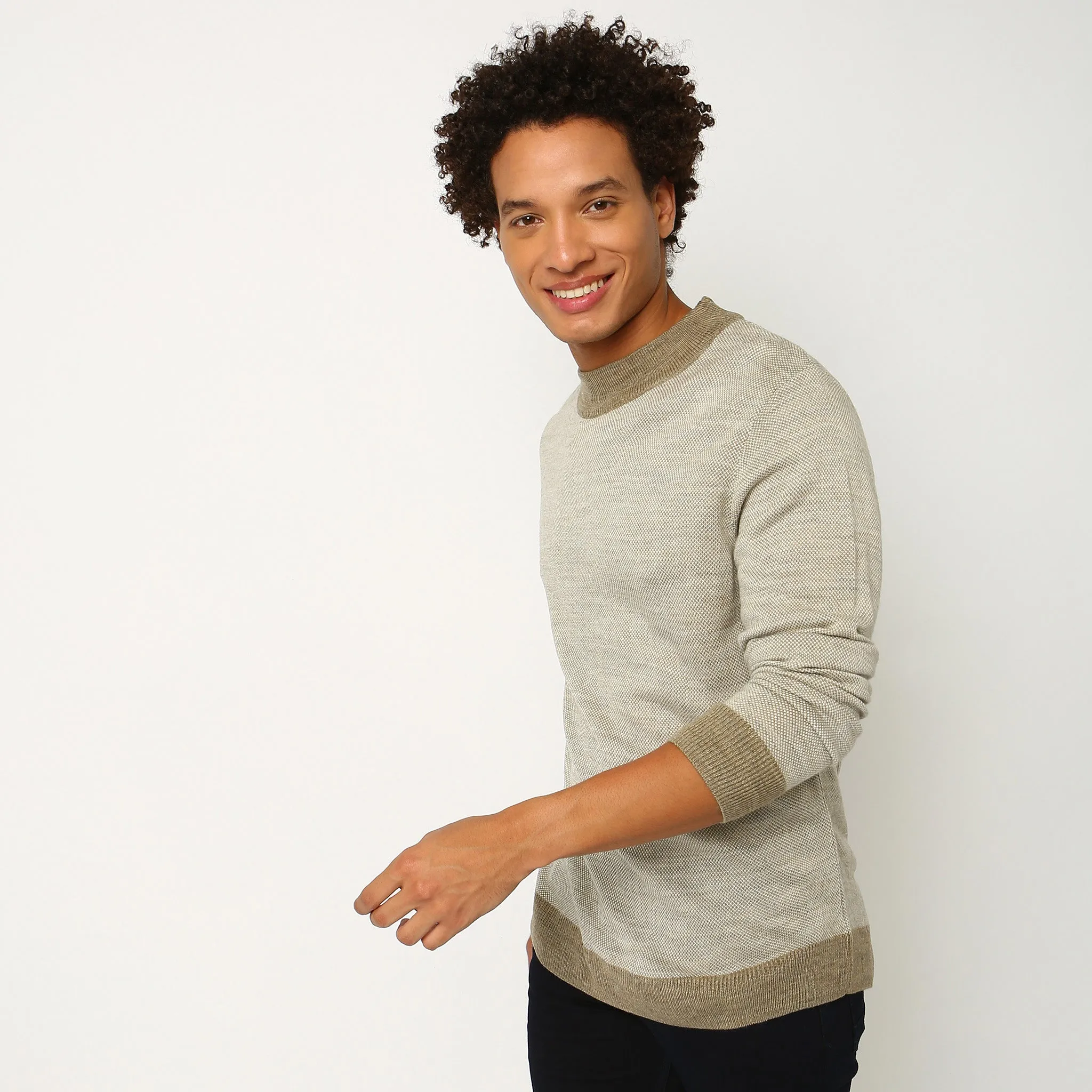 Regular Fit Solid Sweaters